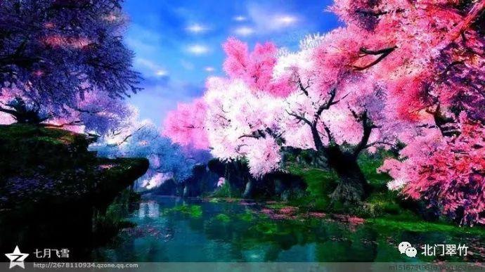春雨直播app